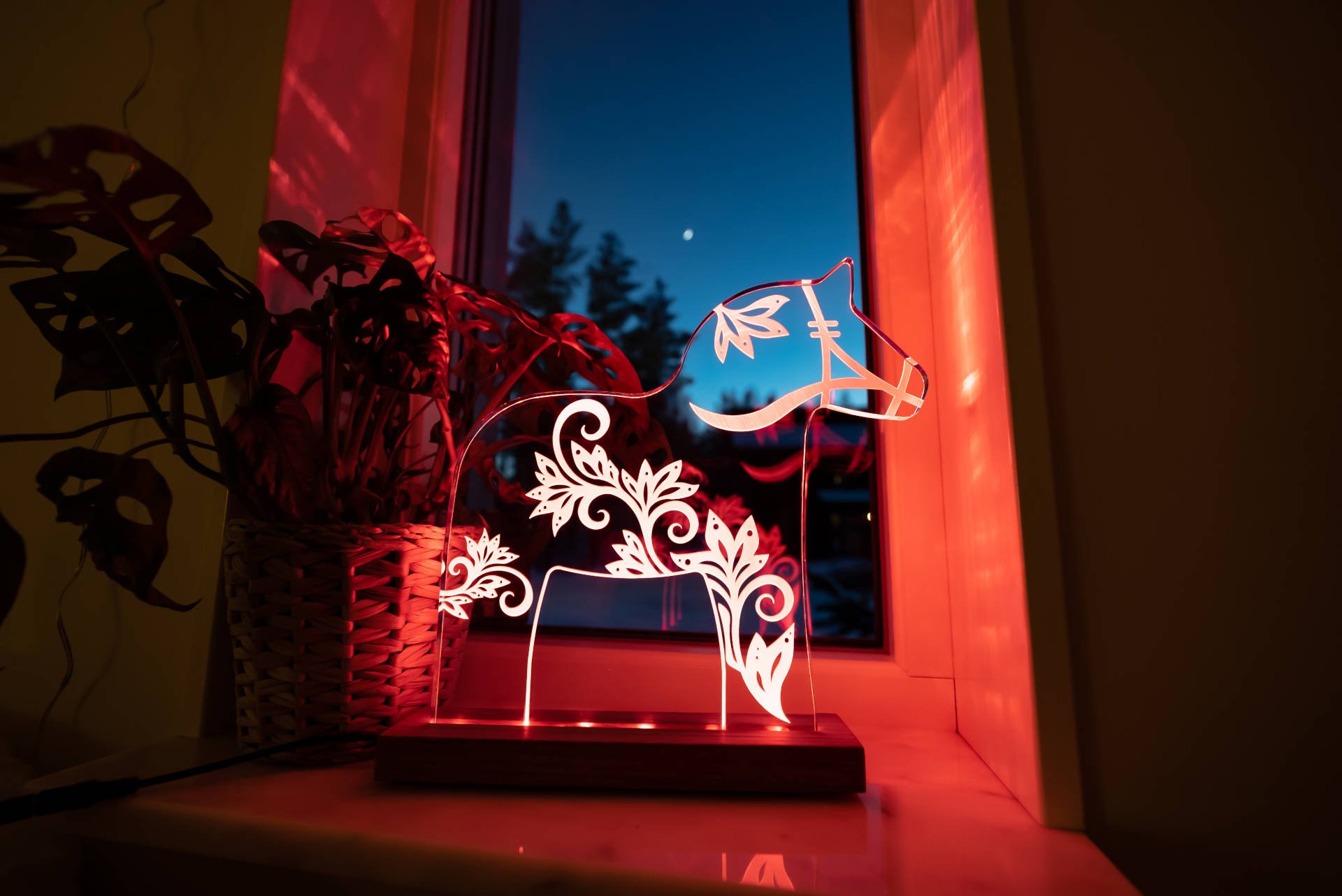 DSC02118-2 DSC02118-2